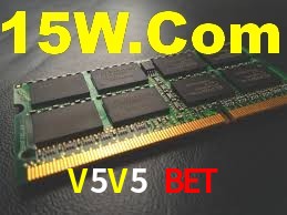 Roulette Table V5V5 Bet